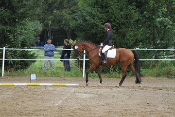 Bild 194 - WBO-Turnier am 18.9.11